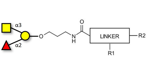Blood group A antigen triose with customizable dual functionalization 