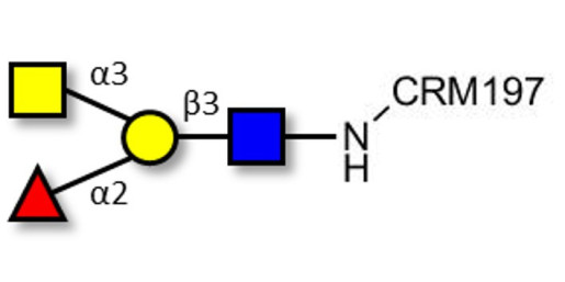 Blood group A antigen tetraose type 1 grafted on CRM197