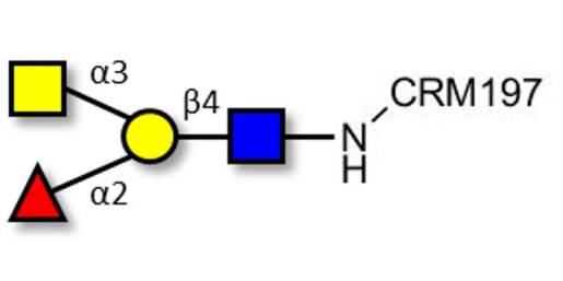 Blood group A antigen tetraose type 2 grafted on CRM197