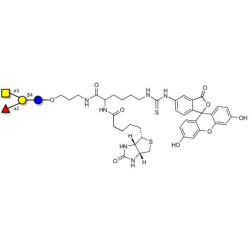 Blood group A antigen tetraose type 6 linked to biotin and fluorescein (Linker-BT-FLUO A)