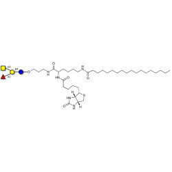 Blood group A antigen tetraose type 6 linked to biotin and stearic chain (Linker-BT-STEA A)