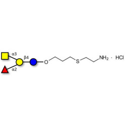 Blood group A antigen tetraose type 6 with free terminal amine (Linker-NH2-E )