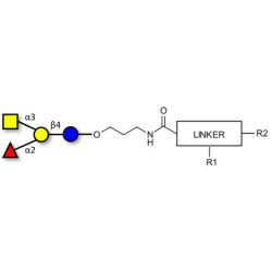 Blood group A antigen tetraose type 6 with customizable dual functionalization 