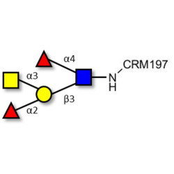 Blood group A Lewis b antigen pentaose type 1 grafted on CRM197