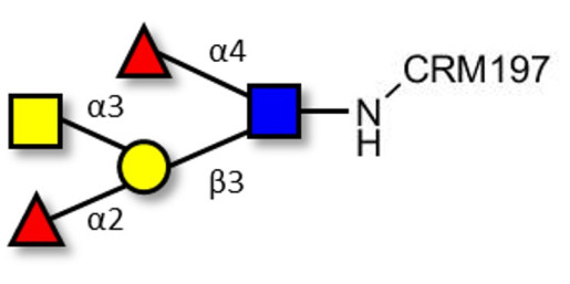 Blood group A Lewis b antigen pentaose type 1 grafted on CRM197