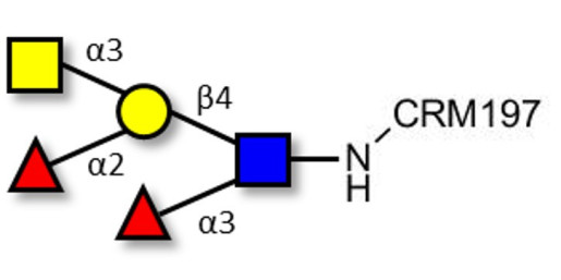 Blood group A Lewis y antigen pentaose type 2 grafted on CRM197