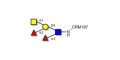 Blood group A Lewis y antigen pentaose type 2 grafted on CRM197