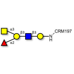 Blood group A antigen pentaose type 1 grafted on CRM197