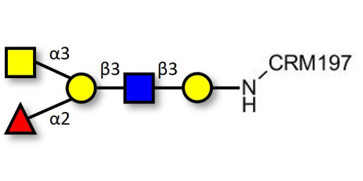 Blood group A antigen pentaose type 1 grafted on CRM197