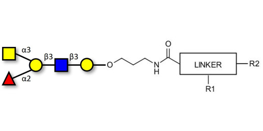 Blood group A antigen pentaose type 1 with customizable dual functionalization 