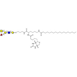 Blood group A antigen pentaose type 2 linked to biotin and stearic chain (Linker-BT-STEA A)
