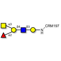 Blood group A antigen pentaose type 2 grafted on CRM197