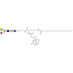 Blood group A antigen hexaose type 1 linked to biotin and stearic chain (Linker-BT-STEA A)