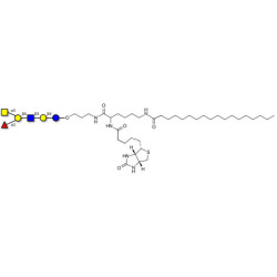 Blood group A antigen hexaose type 2 linked to biotin and stearic chain (Linker-BT-STEA A)