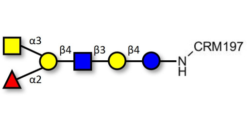Blood group A antigen hexaose type 2 grafted on CRM197