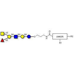 Blood group A antigen hexaose type 2 with customizable dual functionalization 