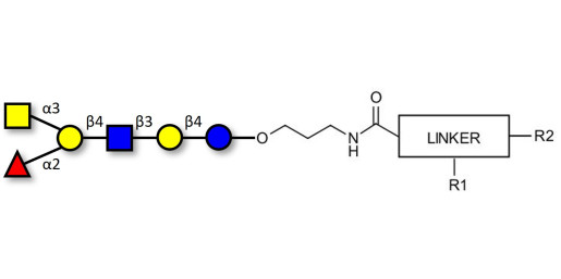 Blood group A antigen hexaose type 2 with customizable dual functionalization 