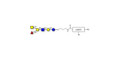 Blood group A antigen hexaose type 2 with customizable dual functionalization 