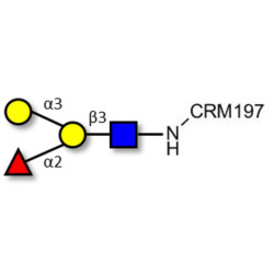 Blood group B antigen tetraose type 1 grafted on CRM197