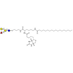 Blood group B antigen tetraose type 6 linked to biotin and stearic chain (Linker-BT-STEA A)
