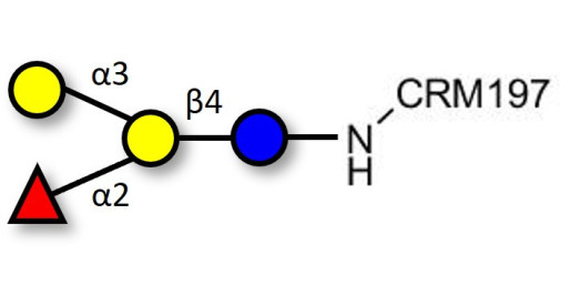 Blood group B antigen tetraose type 6 grafted on CRM197