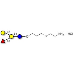 Blood group B antigen tetraose type 6 with free terminal amine (Linker-NH2-E )