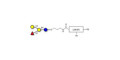 Blood group B antigen tetraose type 6 with customizable dual functionalization 