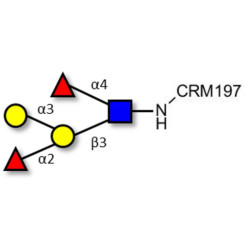 Blood group B Lewis b antigen pentaose type 1 grafted on CRM197