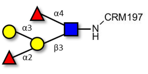 Blood group B Lewis b antigen pentaose type 1 grafted on CRM197