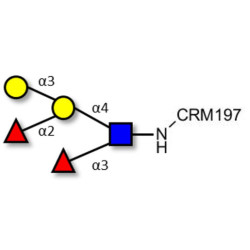 Blood group B Lewis y antigen pentaose type 2 grafted on CRM197