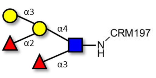 Blood group B Lewis y antigen pentaose type 2 grafted on CRM197