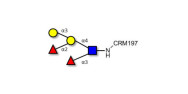 Blood group B Lewis y...