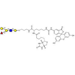 Blood group B antigen pentaose type 1 linked to biotin and fluorescein (Linker-BT-FLUO A)