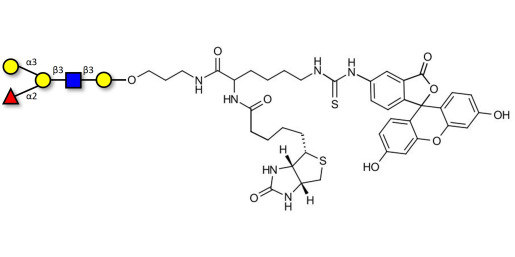 Blood group B antigen pentaose type 1 linked to biotin and fluorescein (Linker-BT-FLUO A)