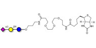 2’Fucosyllactose-NAc-CH2-(1...