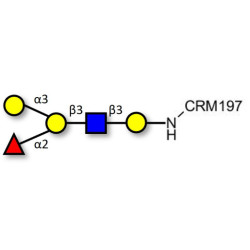 Blood group B antigen pentaose type 1 grafted on CRM197
