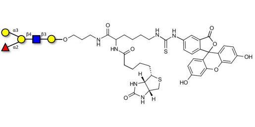Blood group B antigen pentaose type 2 linked to biotin and fluorescein (Linker-BT-FLUO A)