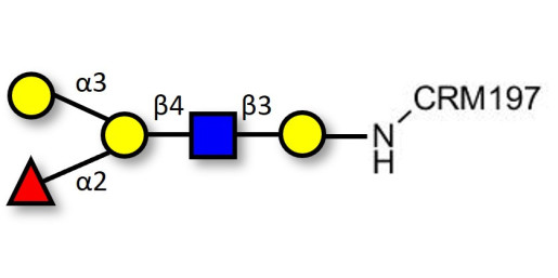 Blood group B antigen pentaose type 2 grafted on CRM197