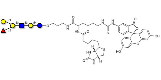 Blood group B antigen hexaose type 1 linked to biotin and fluorescein (Linker-BT-FLUO A)