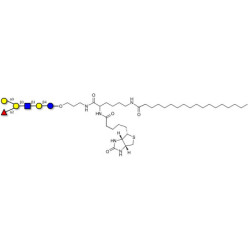 Blood group B antigen hexaose type 1 linked to biotin and stearic chain (Linker-BT-STEA A)