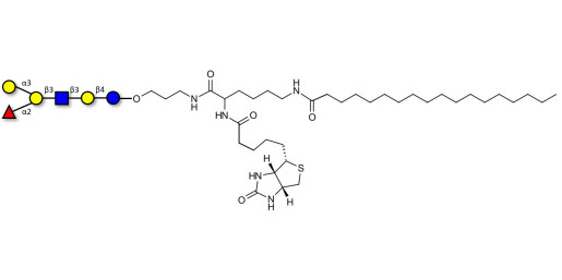 Blood group B antigen hexaose type 1 linked to biotin and stearic chain (Linker-BT-STEA A)