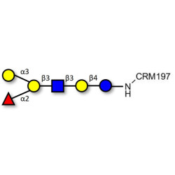 Blood group B antigen hexaose type 1 grafted on CRM197