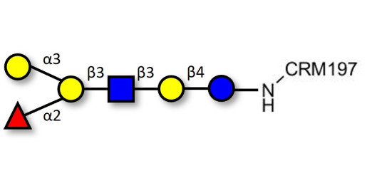 Blood group B antigen hexaose type 1 grafted on CRM197