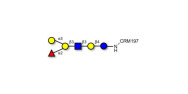 Blood group B antigen...
