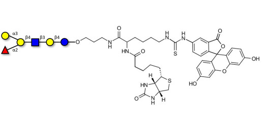 Blood group B antigen hexaose type 2 linked to biotin and fluorescein (Linker-BT-FLUO A)