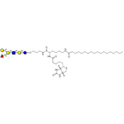 Blood group B antigen hexaose type 2 linked to biotin and stearic chain (Linker-BT-STEA A)