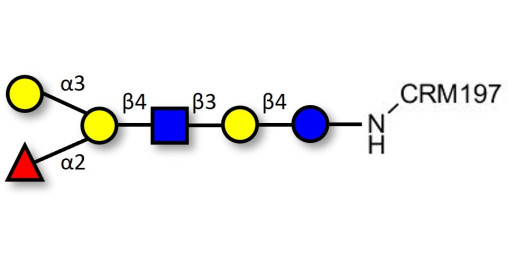 Blood group B antigen hexaose type 2 grafted on CRM197