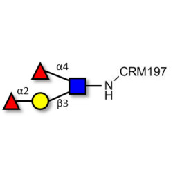 Lewis b (Leb) tetraose grafted on CRM197