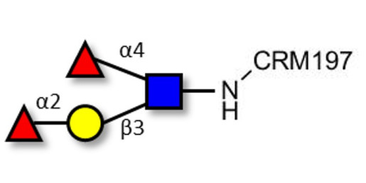 Lewis b (Leb) tetraose grafted on CRM197