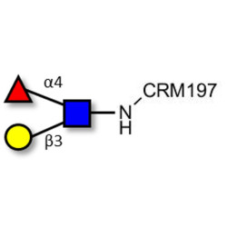 Lewis a (Lea) triose grafted on CRM197